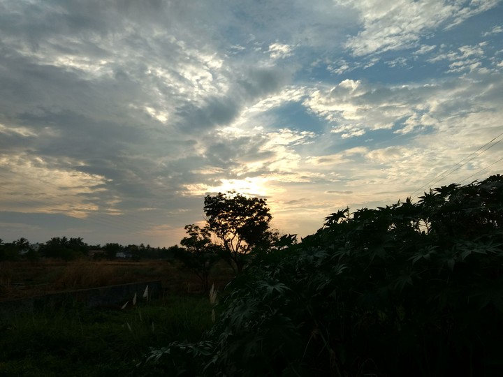 DAWN