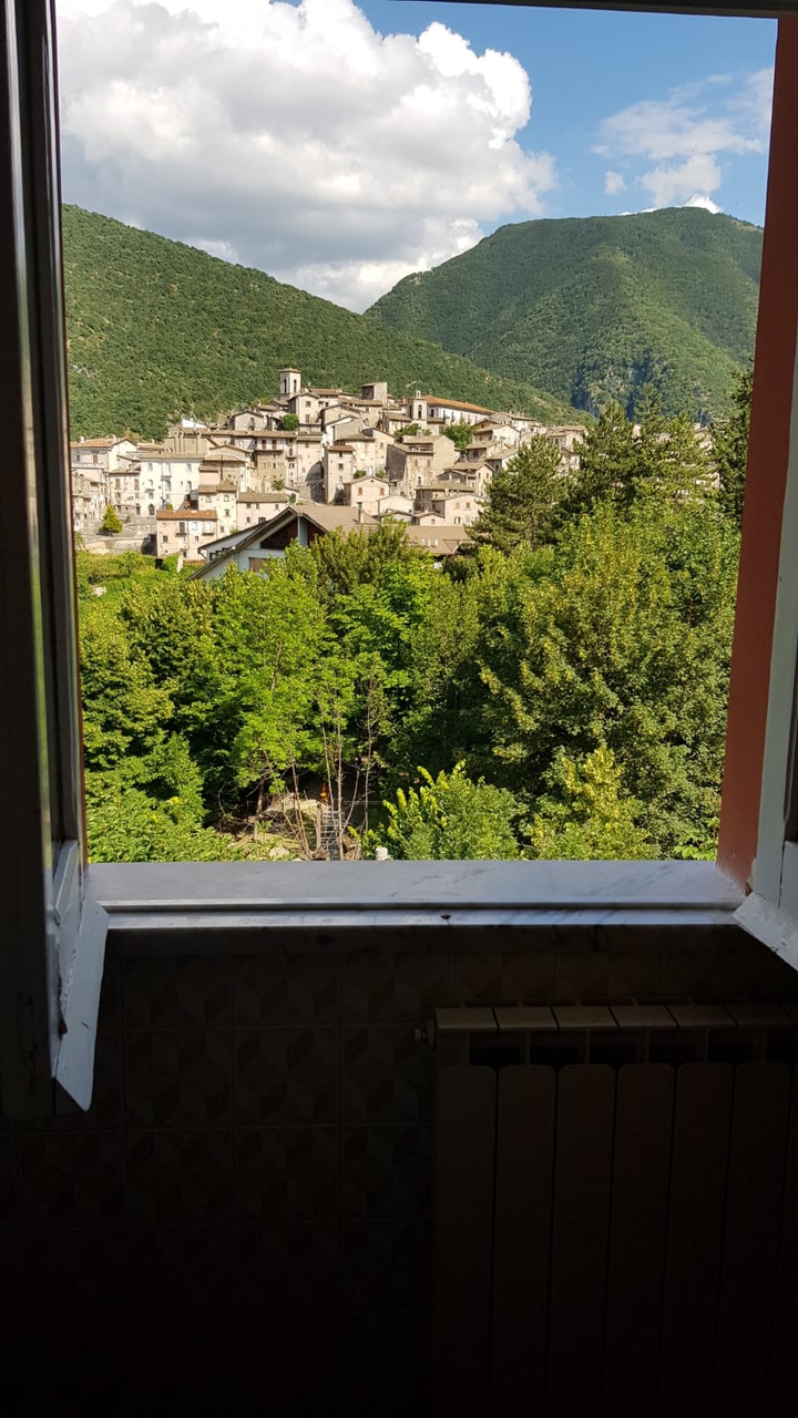 Window view