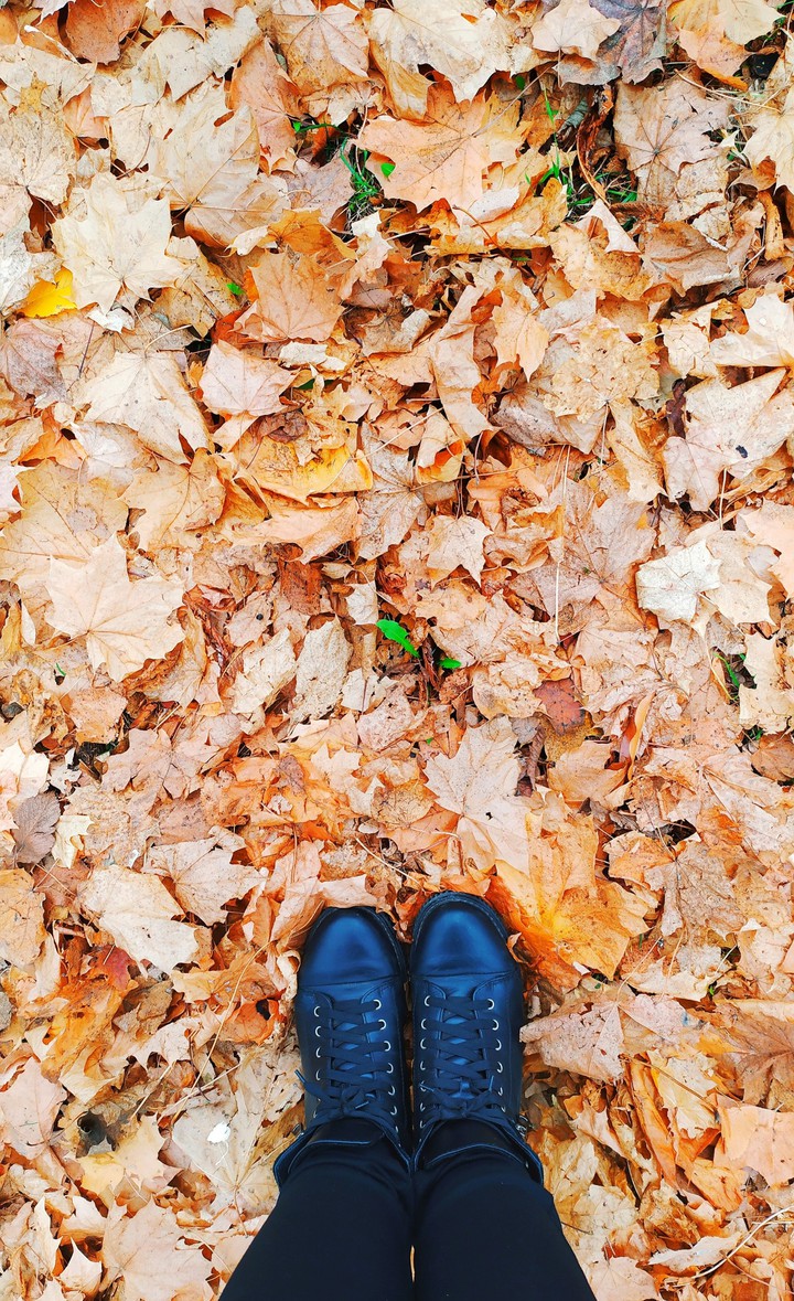 Autumn ?