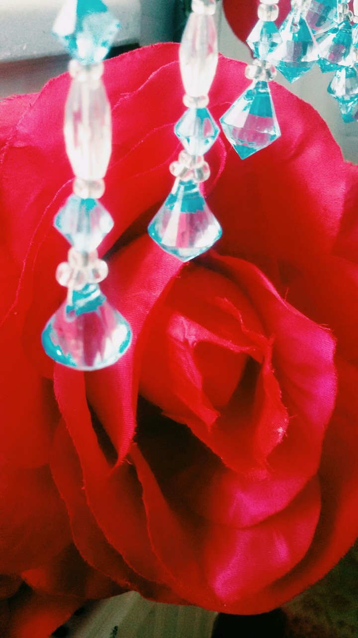 red rose