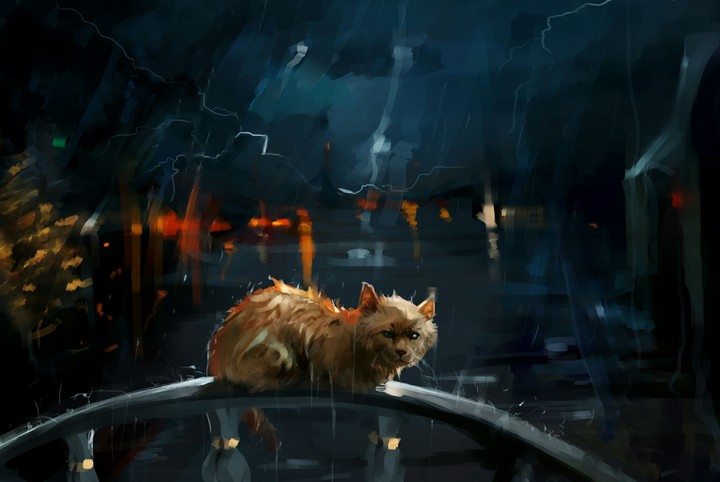Cat