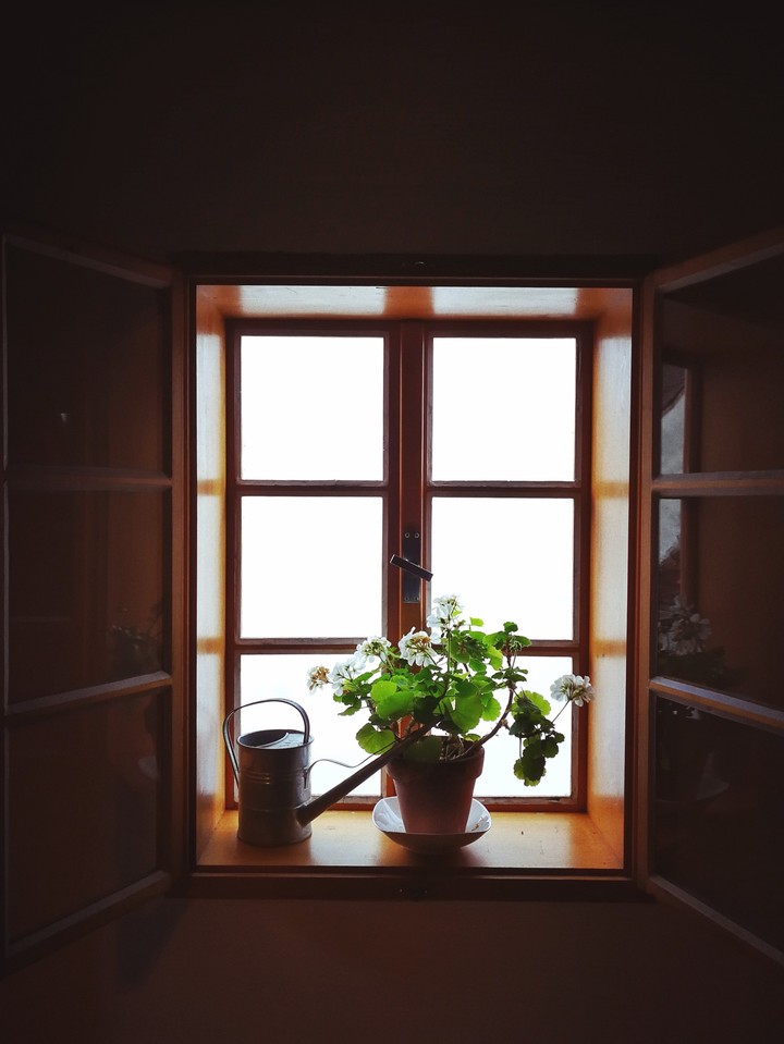 The window