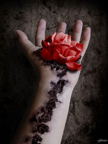 Flower hand rose