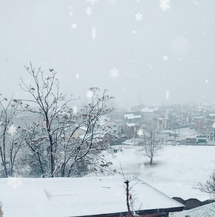 snow