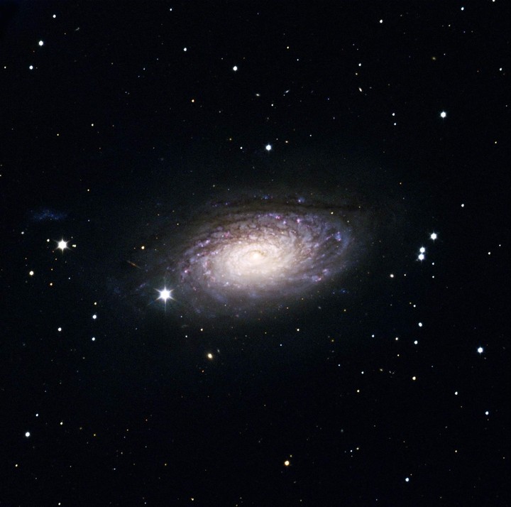 Sunflower's Galaxy