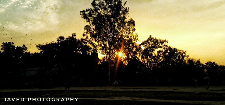 Sunset ❤❤❤