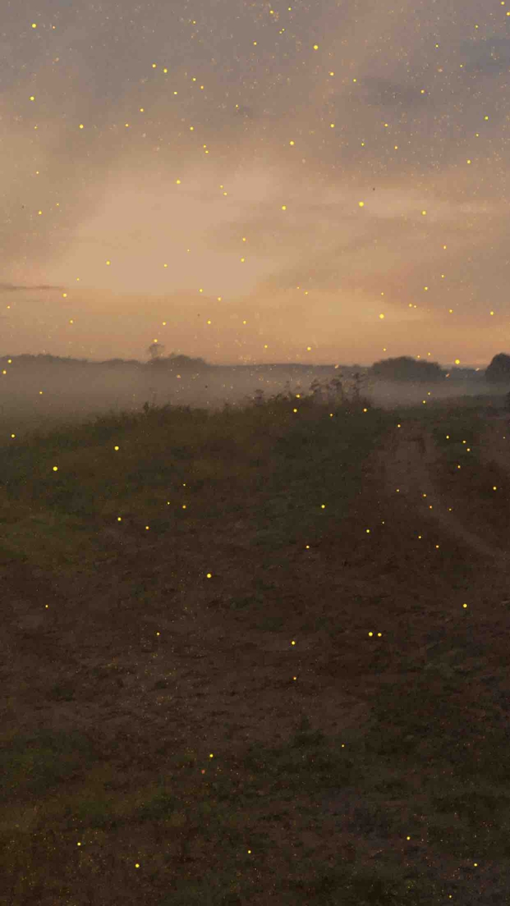 So Foggy