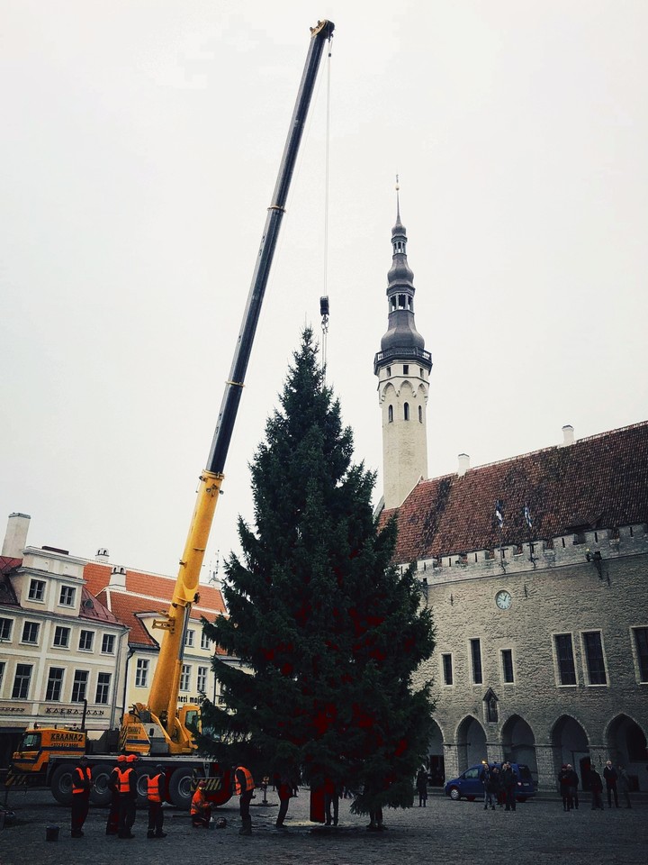 Christmasthree