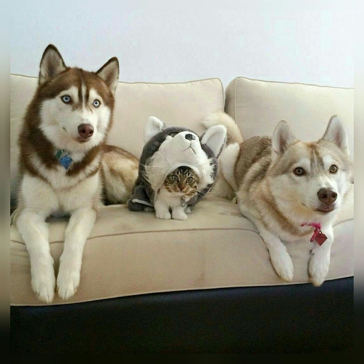 funny )