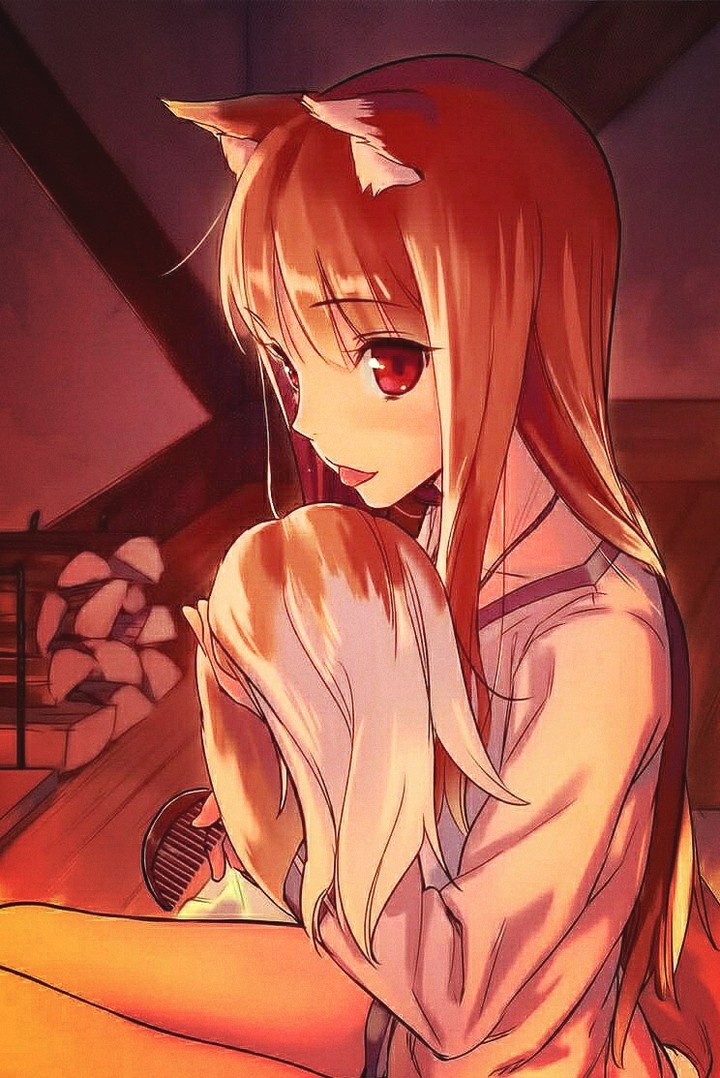 Anime : Spice and wolf