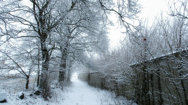 Winter