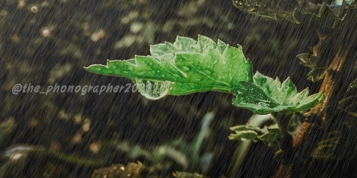 raining