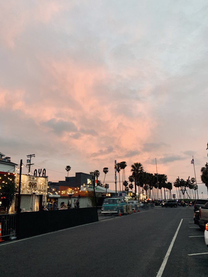 Venice beach