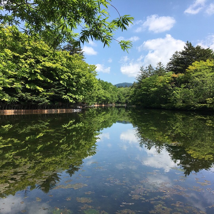 雲場池