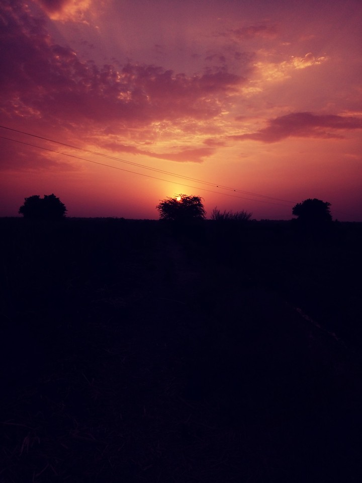 Sunset