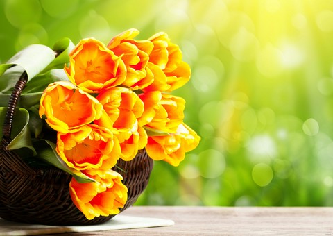 lovely, floristry वॉलपेपर