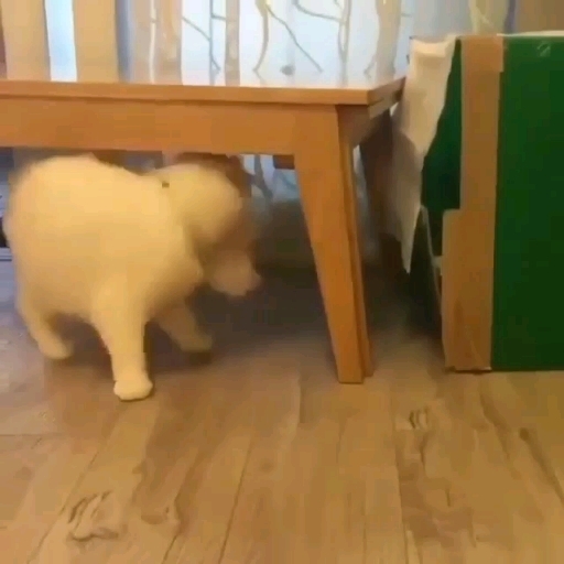 ))