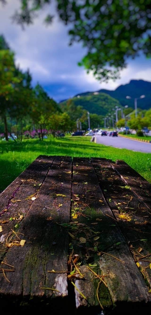 nature