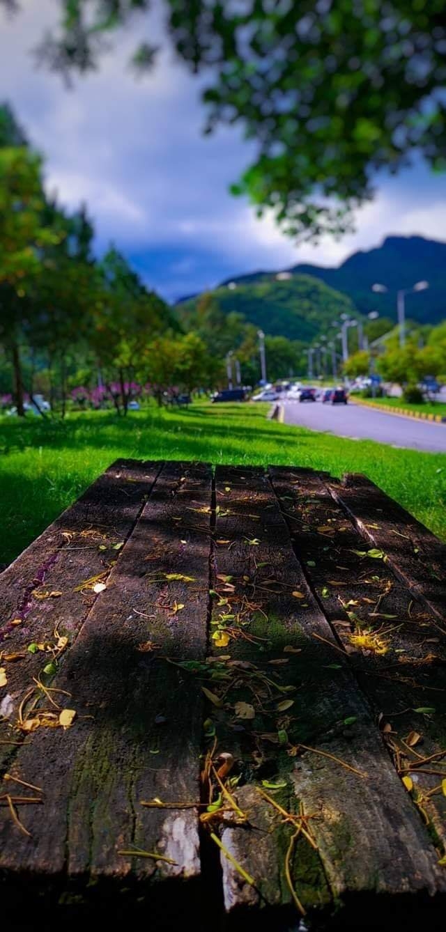 nature