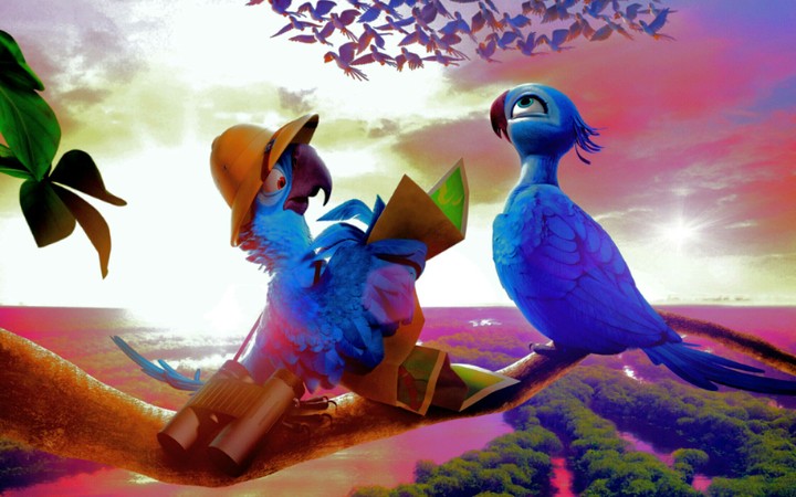 Rio pair of birds