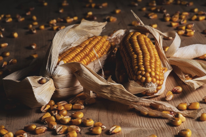 corn