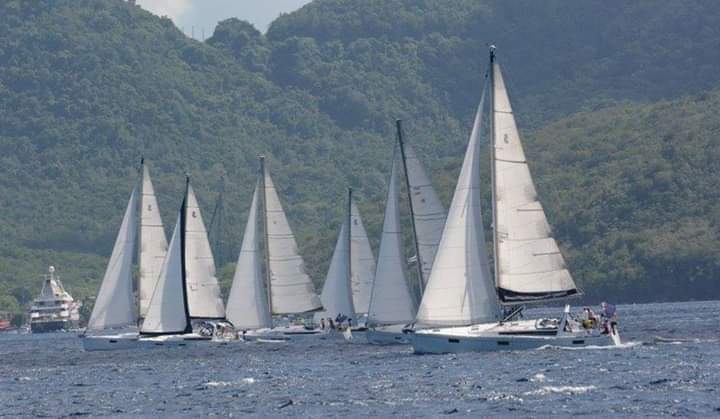 segelschife regata
