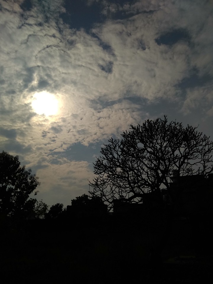 #Nature # Trees # Sky