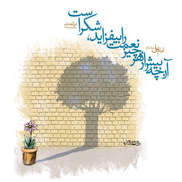 FEEL OF KIND
