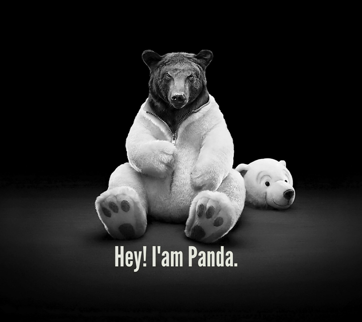 Hey Panda
