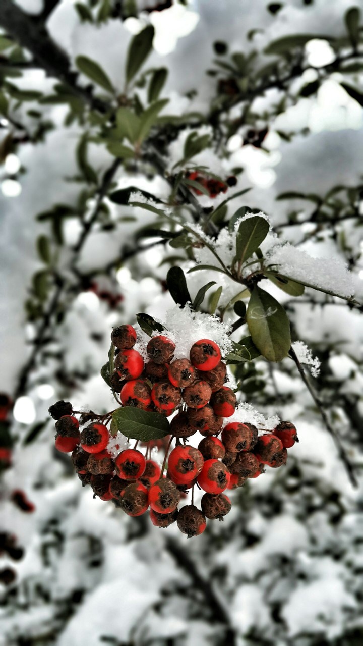 winter