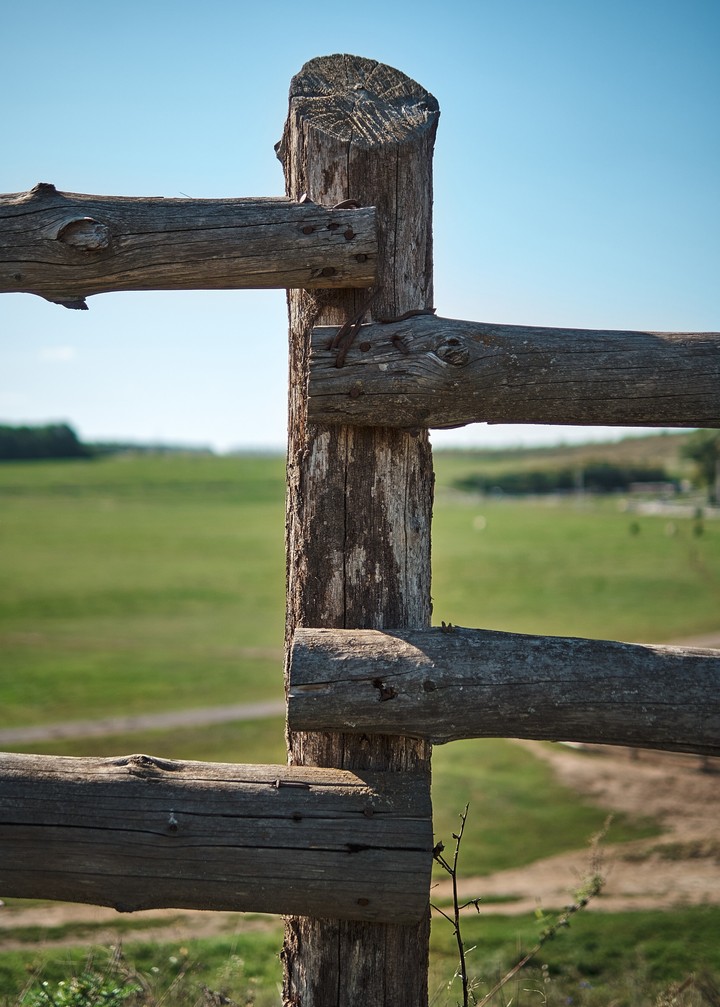fence