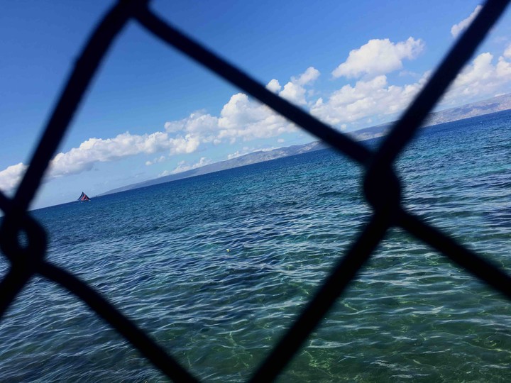 through the fence