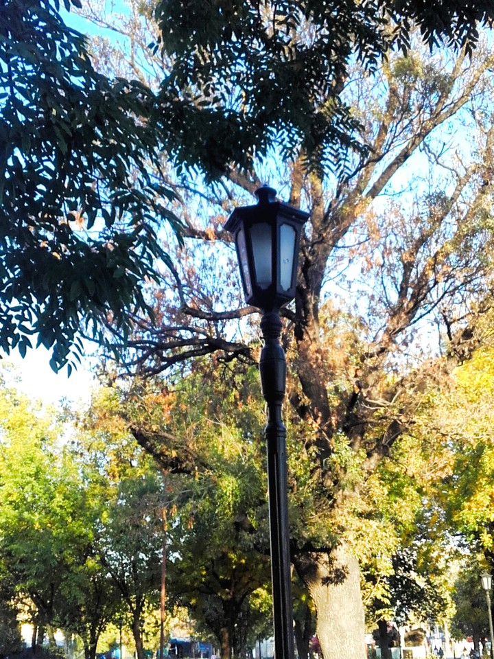 autumn