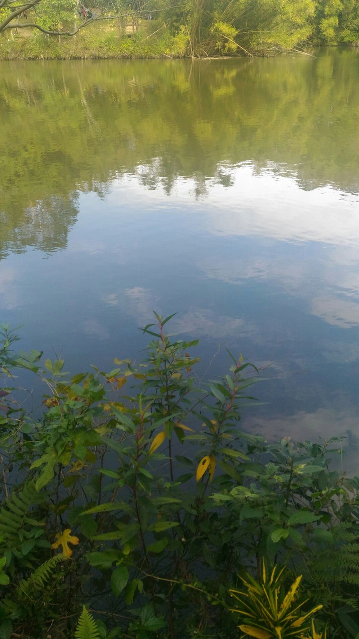 lake
