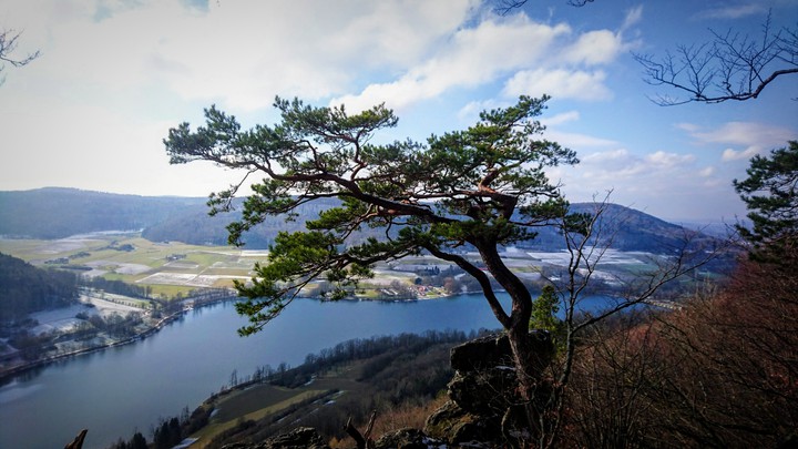 Baum