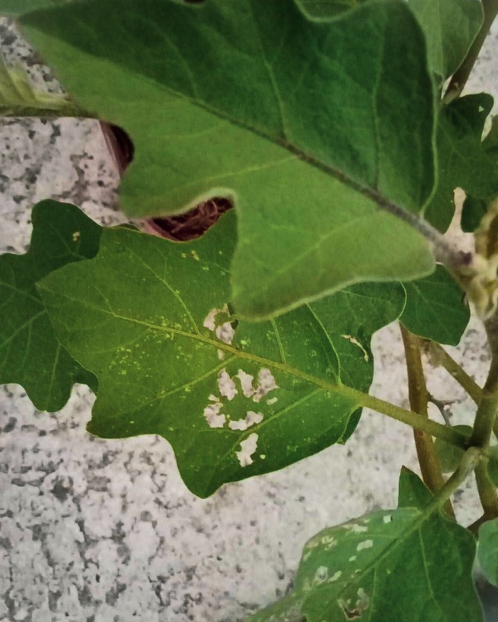 #nature....