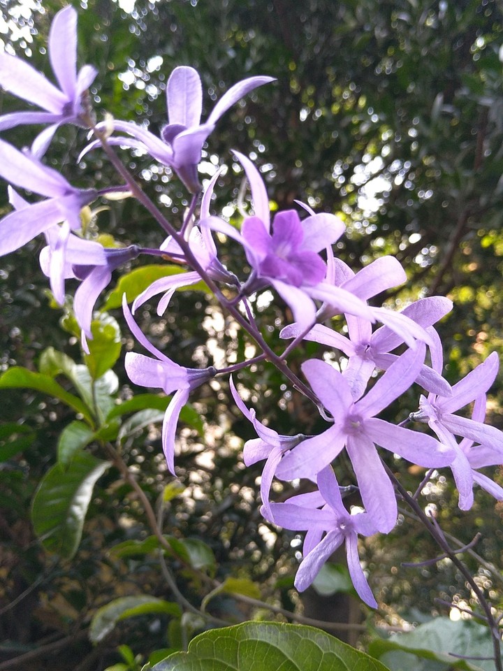 幸福