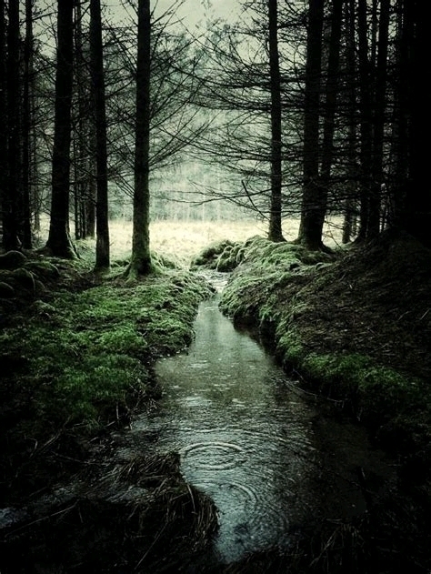 nature