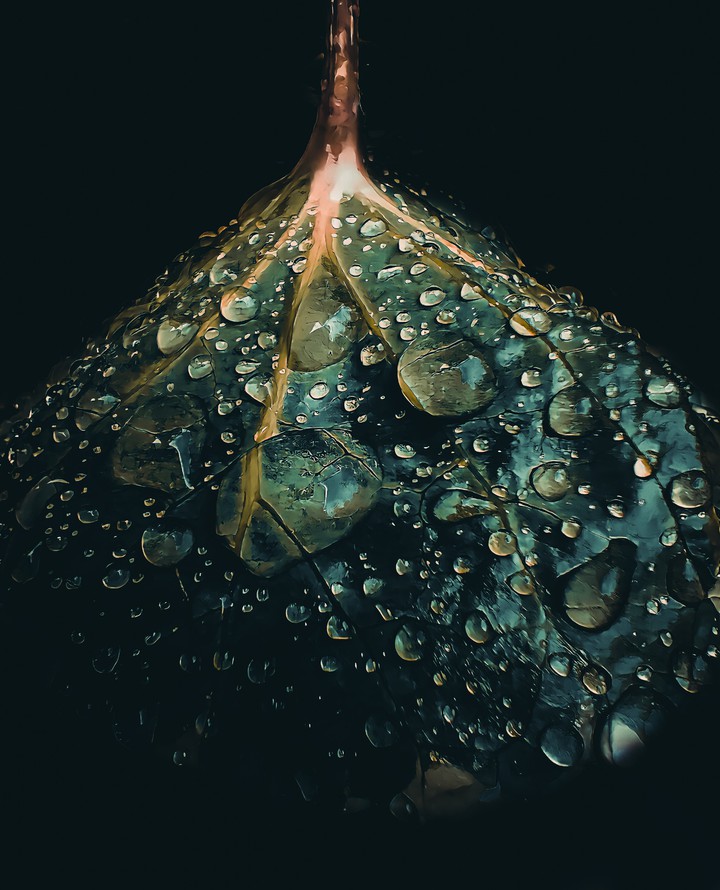 waterdrops