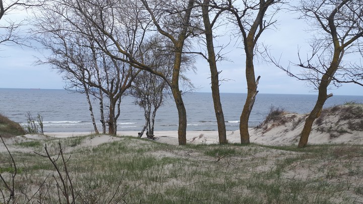 baltic sea dune