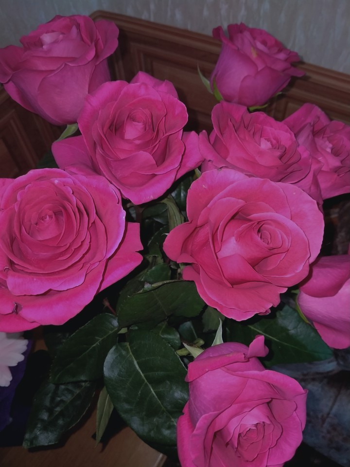 rose