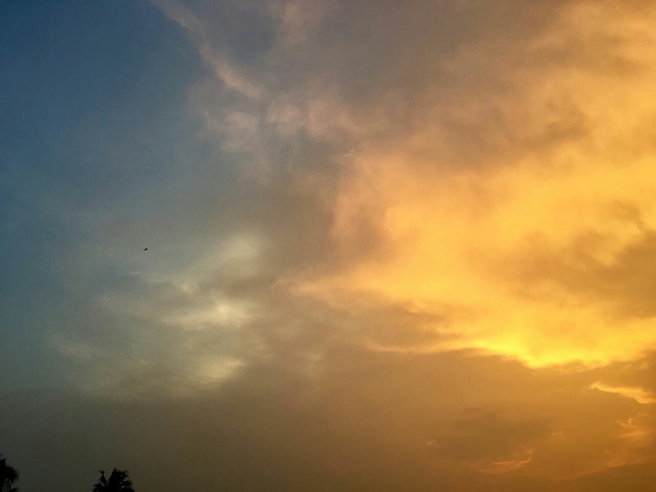 skybox