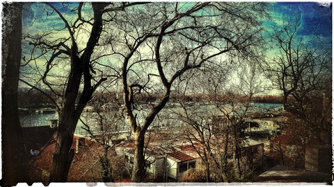 Beograd