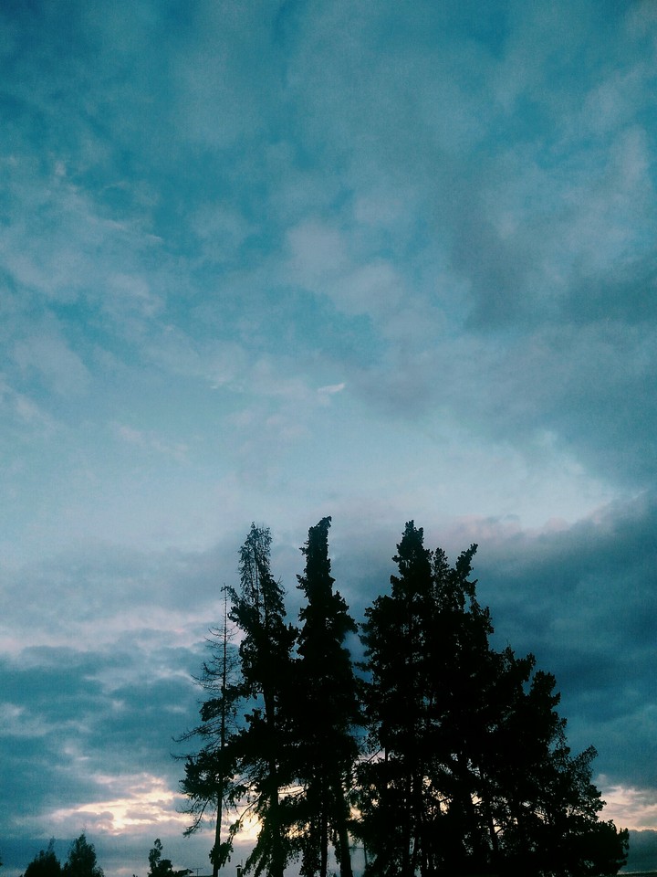 Paz
