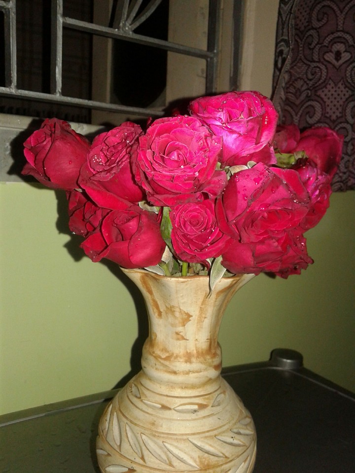 red rose