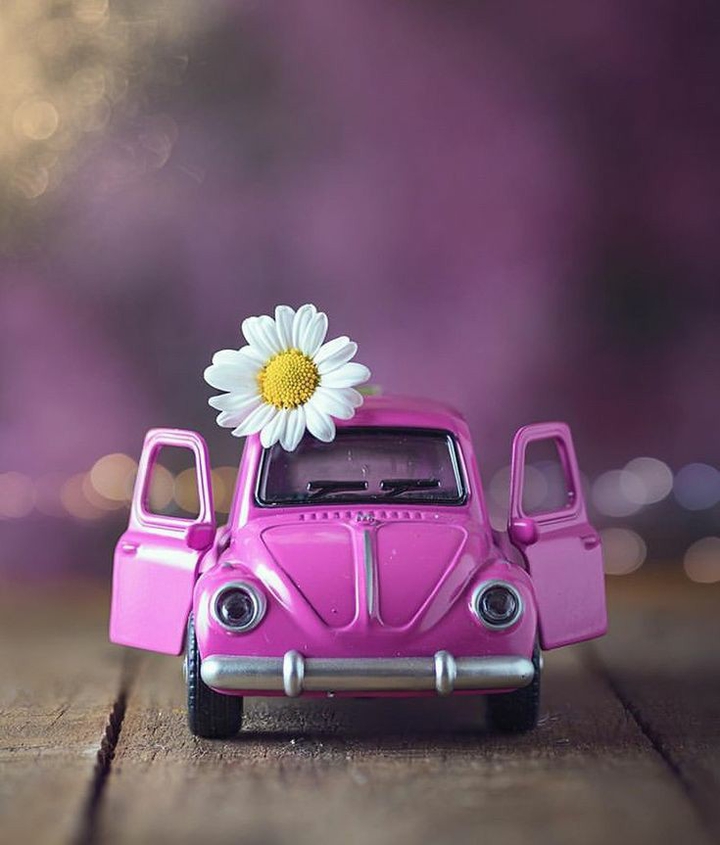 pink car