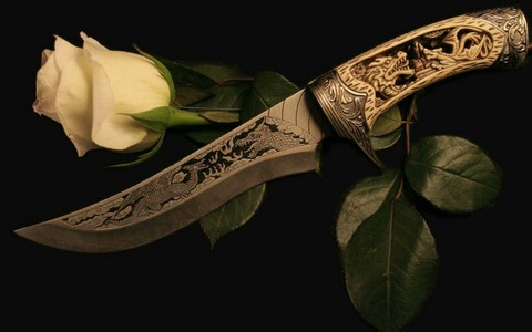 Rose And Knife