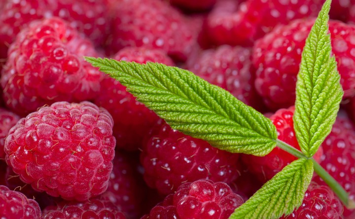Raspberries