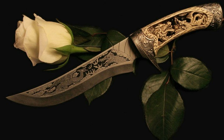 Rose And Knife