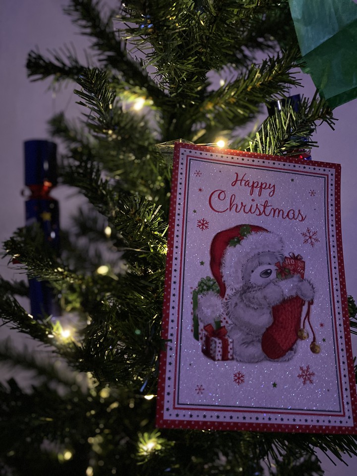 Christmas joy